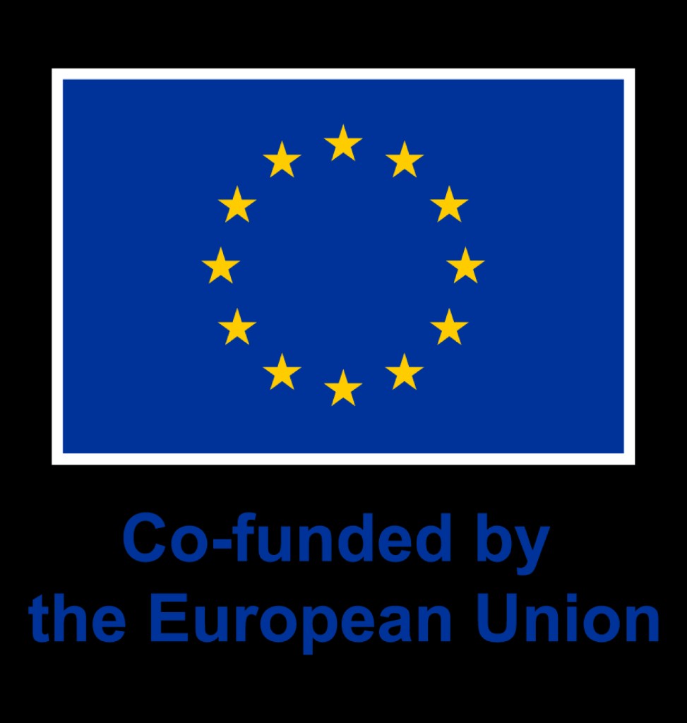 Co-funded by the European Union