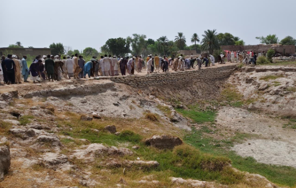 ACT International and WFP Advance Food Security and Livelihood Recovery in Muzaffargarh through Asset Creation Initiative